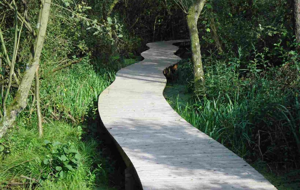 Loopbrug Moerputten